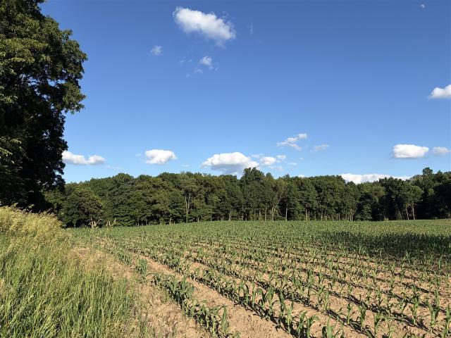 Land for sale in Michigan