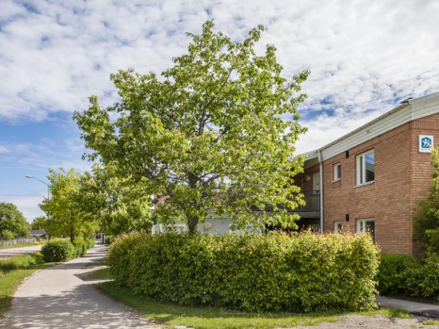 Lägenhet hyra i Bälinge, Uppsala län