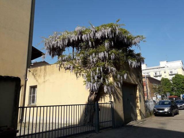 Stanza in affitto a Ravenna, Reggio Emilia