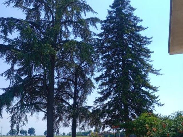 Villa Indipendente in affitto a Alluvioni Piovera, Piemonte