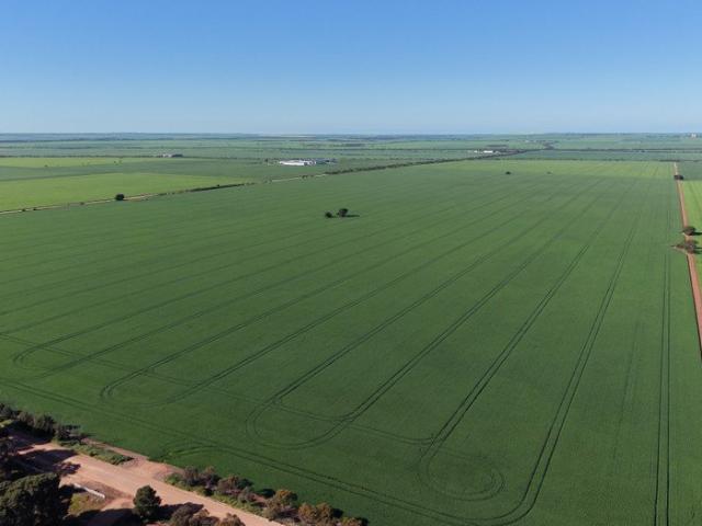 Property for sale in Alford, South Australia