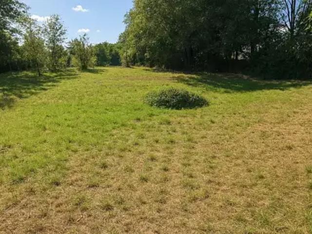 Terrain vente à Chez Malivert, Alloue