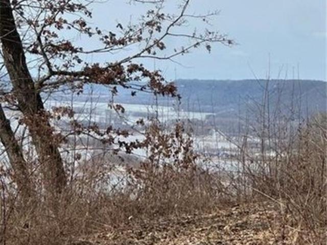 Land for sale in Alma, Wisconsin