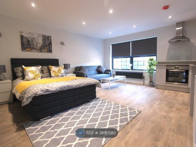 Studio for rent in Spring Park, Luton