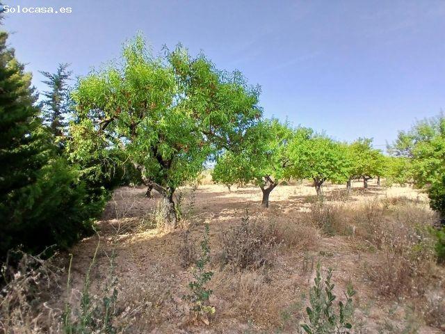 Local Comercial en venta en Terra Alta, Catalunya