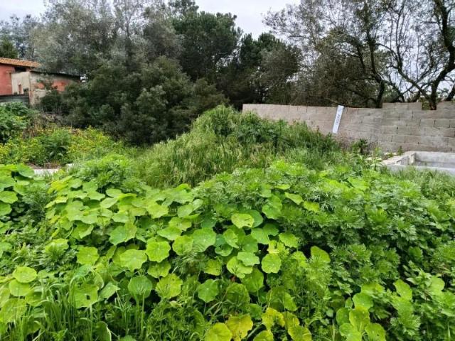 Terreno venda em Alto do Vale de Rosal, Almada