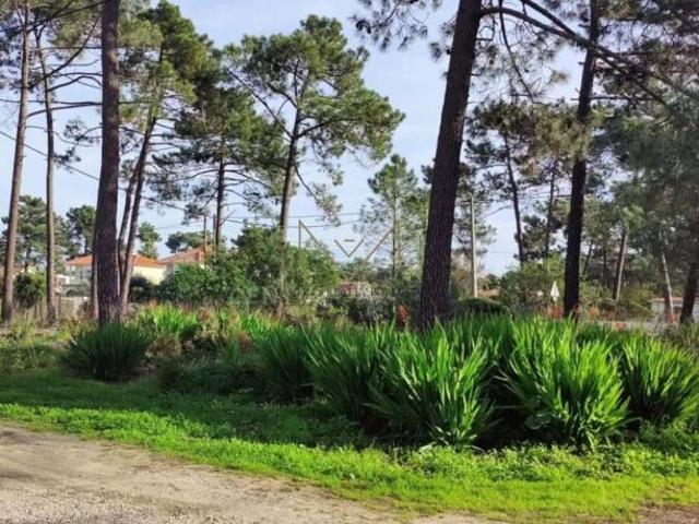 Terreno venda em Almada, Setúbal