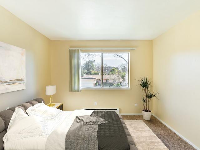 Apartment for rent in San Jose, California