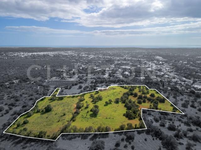 Terreno venda em Vale de Éguas, Loulé