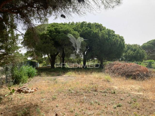 Terreno alugar em Loulé, Faro
