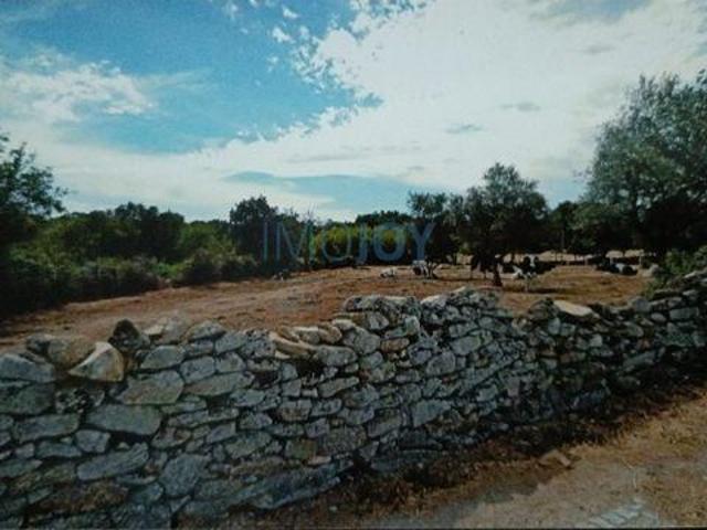 Terreno venda em Guarda, Almeida