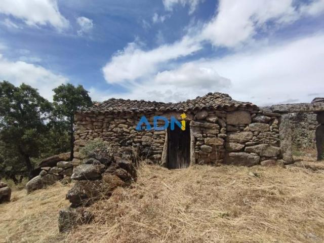 Terreno venda em Guarda, Almeida