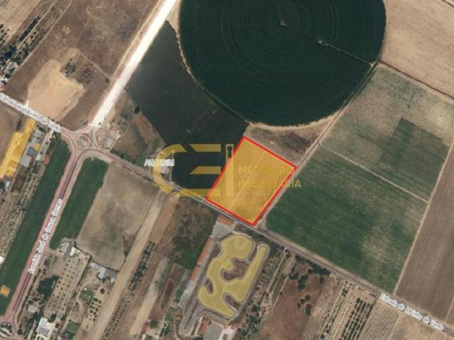 Terreno venda em Almeirim, Santarém