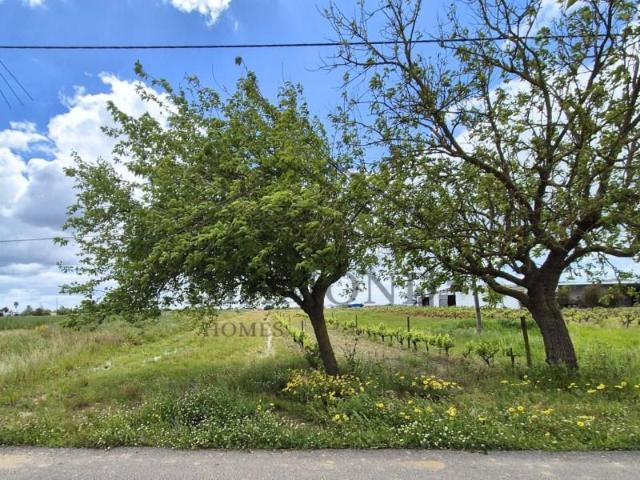 Terreno venda em Almeirim, Santarém