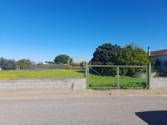 Terreno venda em Fazendas de Almeirim, Almeirim