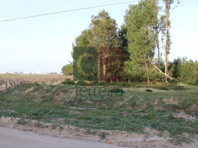 Terreno venda em Almeirim, Santarém