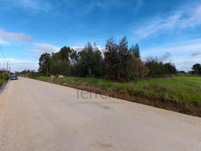 Terreno venda em Almeirim, Santarém