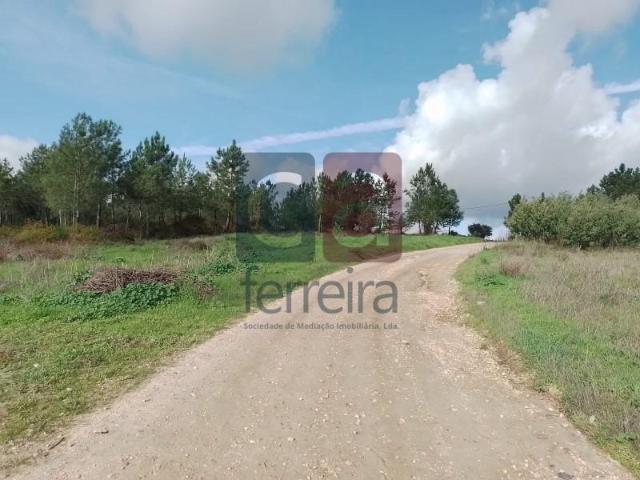 Terreno venda em Almeirim, Santarém