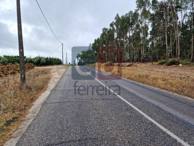 Terreno venda em Almeirim, Santarém