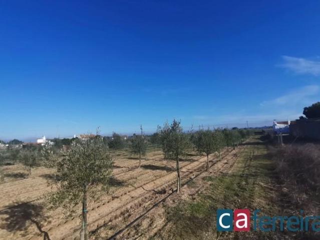 Terreno venda em Almeirim, Santarém