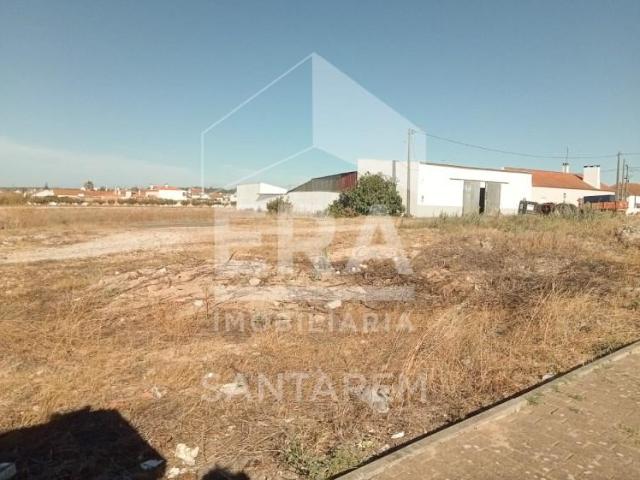 Terreno venda em Paço dos Negros, Almeirim