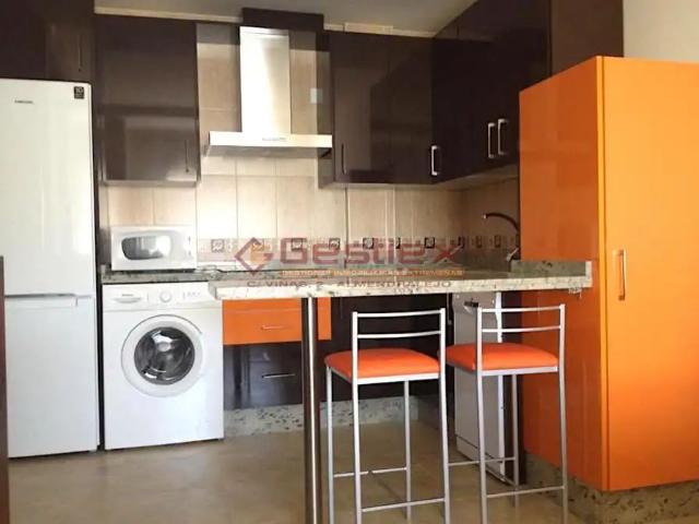 Apartamento en alquiler en Tierra de Barros, Extremadura