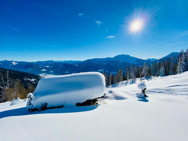 Grundstück kaufen in Berg im Drautal, Kärnten