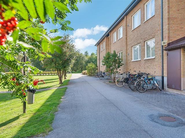 Lägenhet hyra i Älmhult, Kronoberg