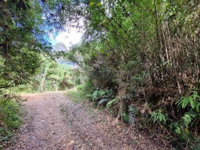Terreno venda em Região Geográfica Imediata de Curitiba, Região Metropolitana de Curitiba