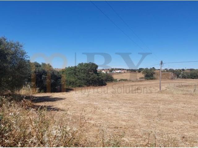 Terreno venda em Almodôvar, Beja