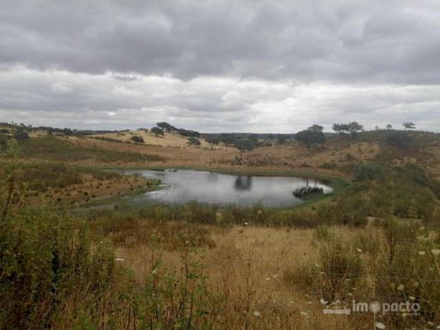 Casa venda em Almodôvar, Beja