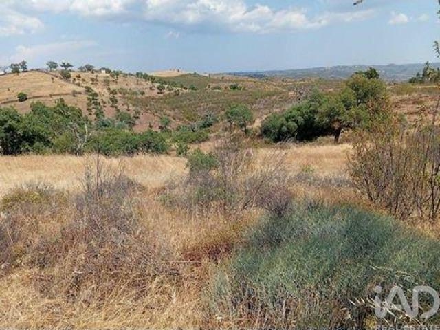 Terreno venda em Almodôvar, Beja
