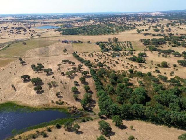 Terreno venda em Almodôvar, Beja