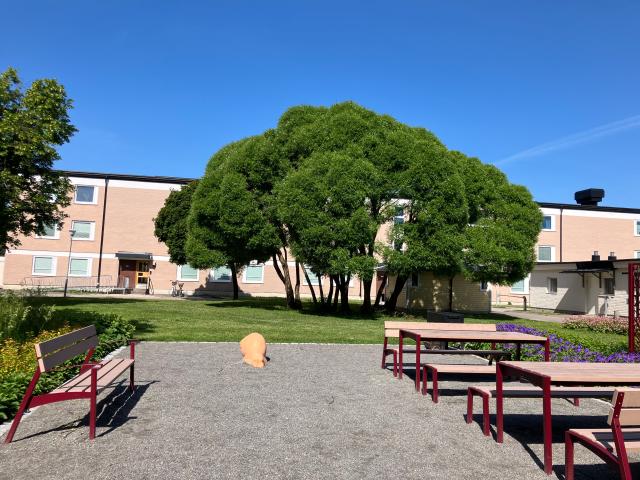 Lägenhet hyra i Uppsala