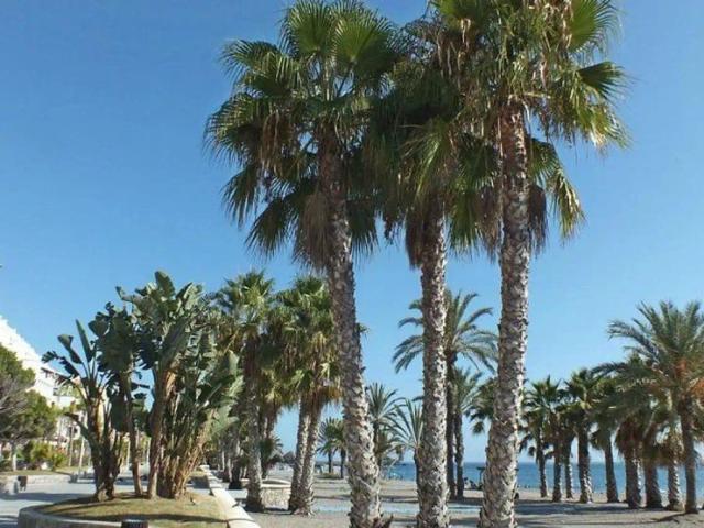 Apartamento en alquiler en Marina del Este, Comarca de la Costa Granadina