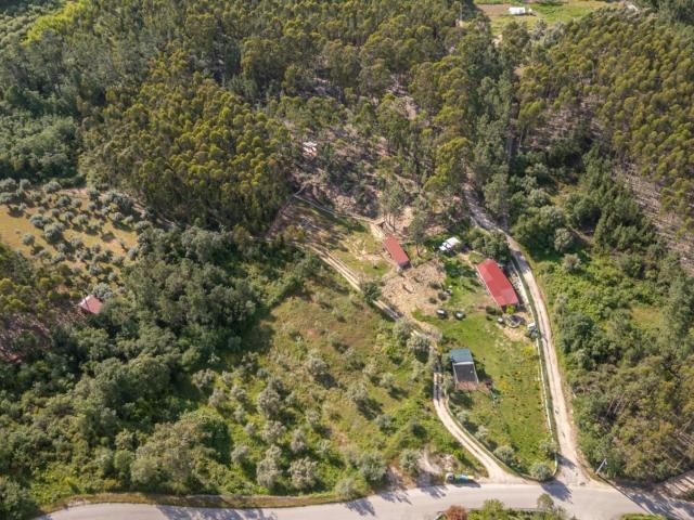 Quinta venda em Soure, Coimbra