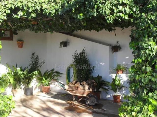 Casa en alquiler en Alto Guadalentín, Murcia