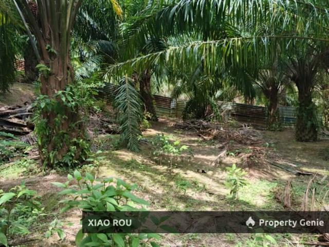 Property for sale in Ayer Pa'Abas, Malaka