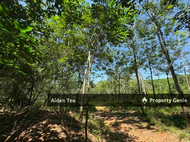 Property for sale in Malaka