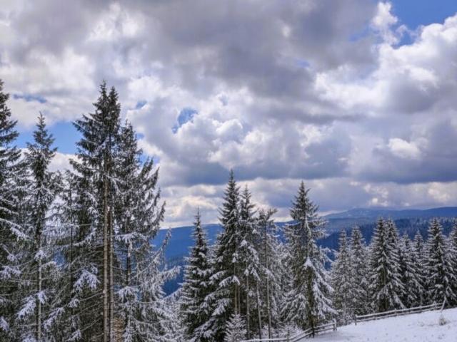Grundstück kaufen in Obdach, Steiermark