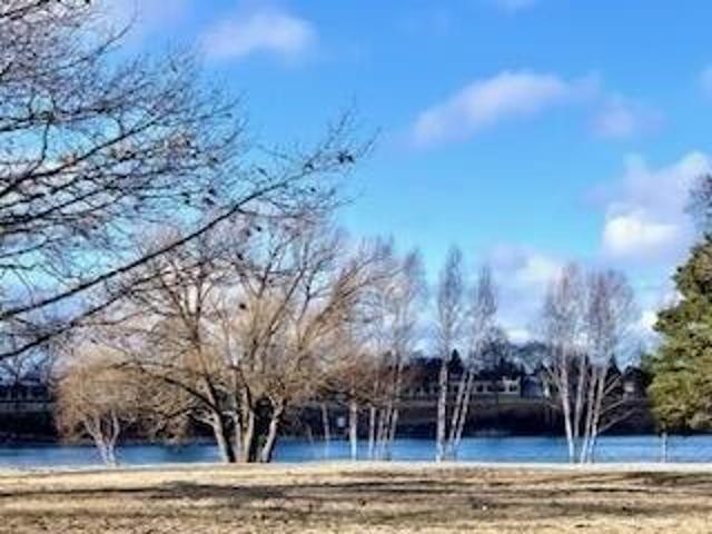 Land for sale in Alpena, Michigan