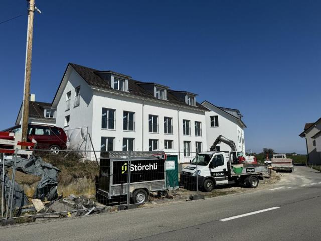 Einfamilienhaus kaufen in Thundorf, Thurgau