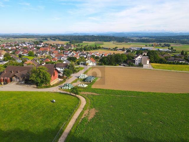Immobilie kaufen in Oberbipp, Bern