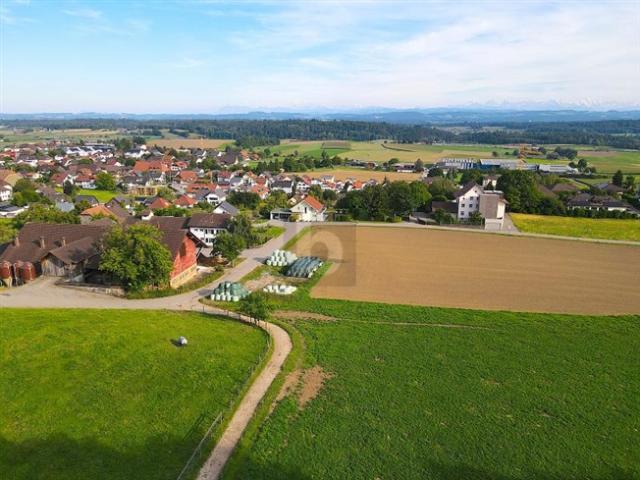 Grundstück kaufen in Oberbipp, Bern