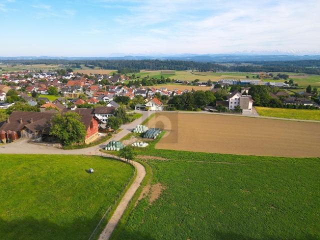 Grundstück kaufen in Oberbipp, Bern