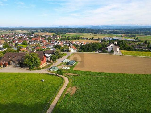 Immobilie kaufen in Oberbipp, Bern