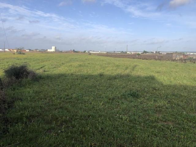 Terreno venda em Alpiarça, Santarém