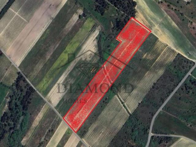 Terreno venda em Alpiarça, Santarém