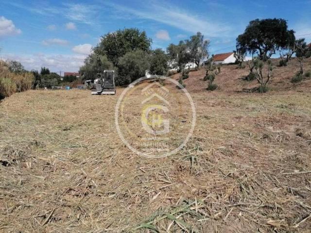 Terreno venda em Alpiarça, Santarém