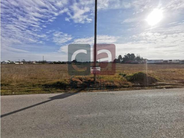 Terreno venda em Alpiarça, Santarém